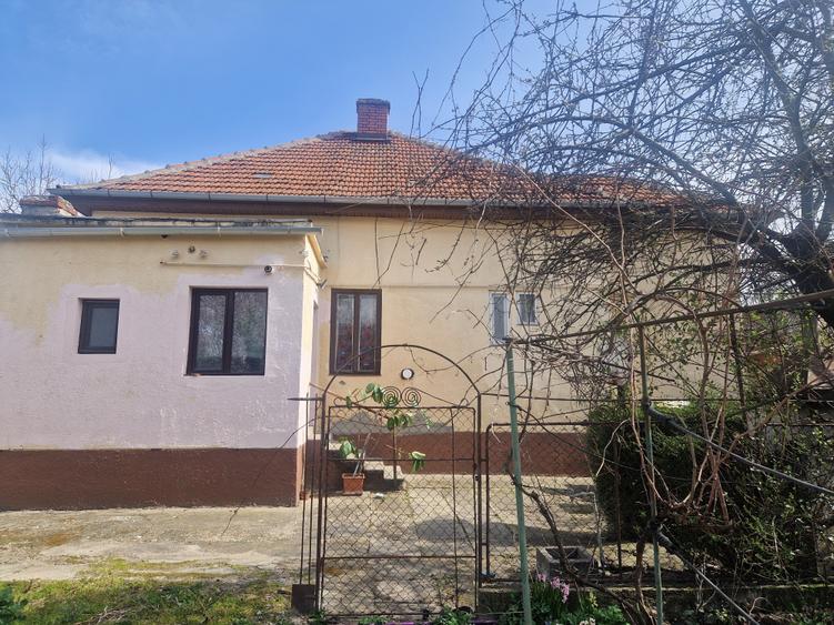 Situata pe frumoasa strada Maslinului in zona Blascovici, - 11