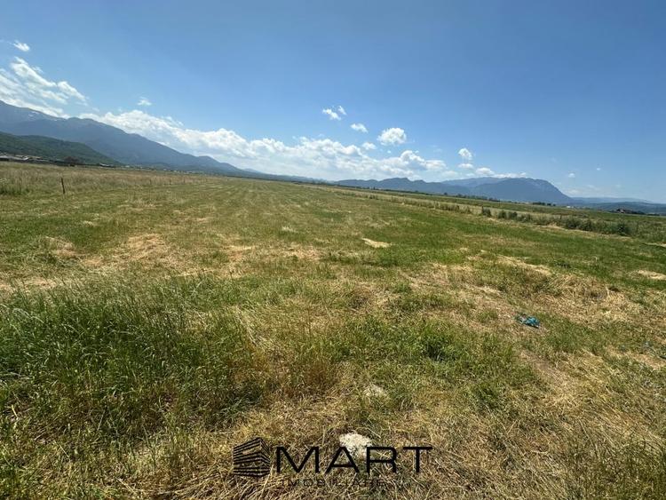 Teren Intravilan Rasnov 7.500 mp - 2