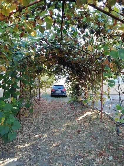 Casa nou comuna buzoesti teren 1765 mp,livada pomi fructiferi +anexa - 6