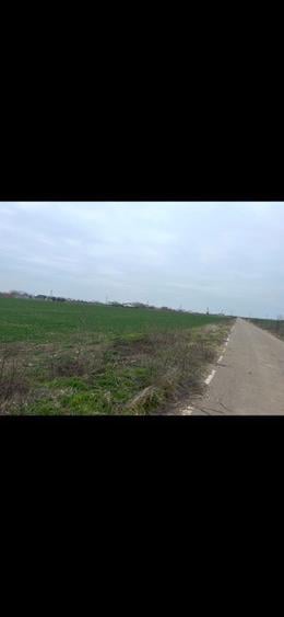 Teren intravilan 17.000 mp Gostilele | Investitie excelenta - 2