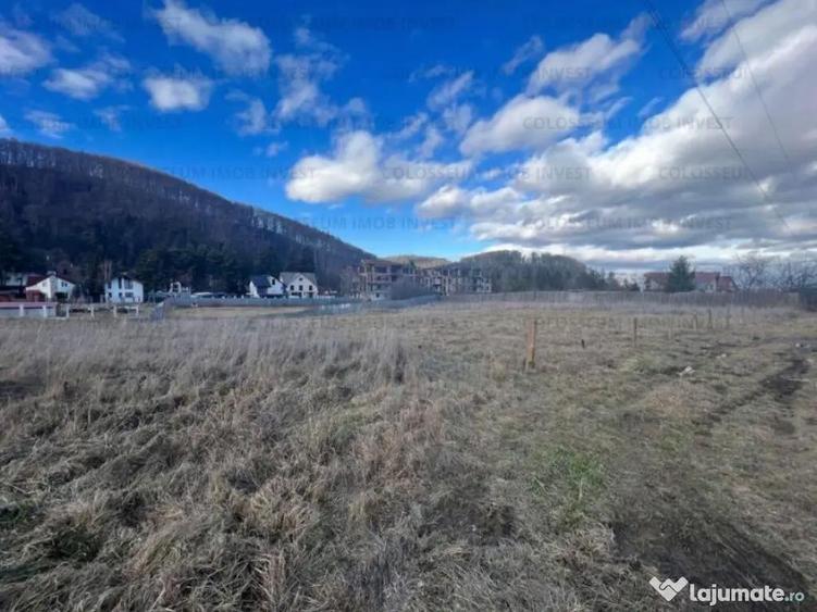 Teren intravilan, cu certificat de urbanism - Bunloc/Sacele - 6