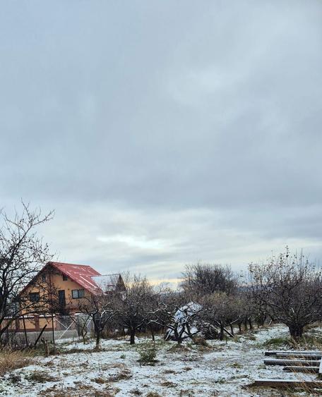 Vand teren constructii+livada in Filioara jud NT 13Eur/mp - 1