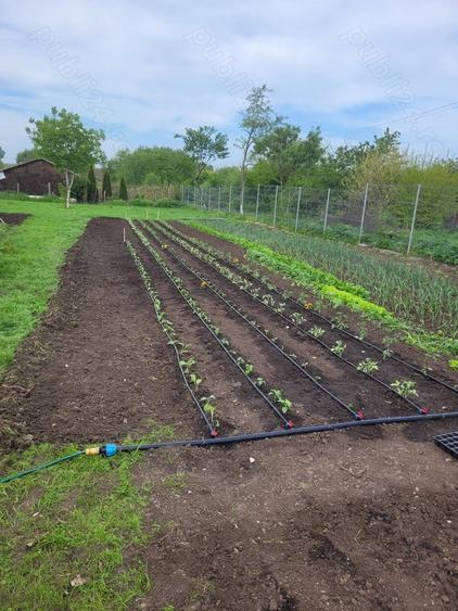 Vand casa cu teren la 65 km de Bucuresti,s-au schimb cu ap 3 camere Bucuresti - 5