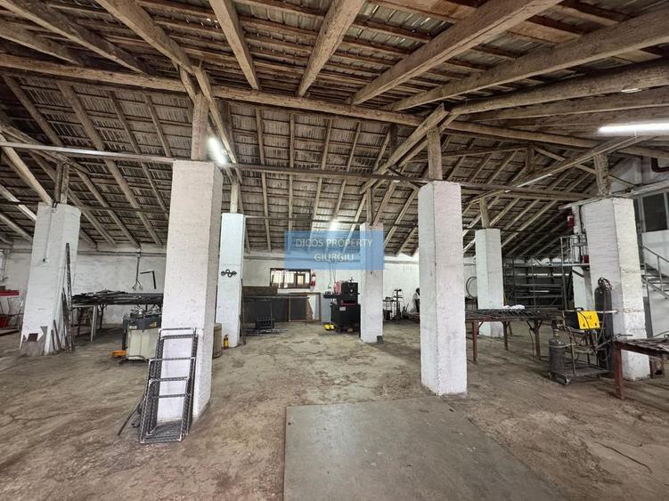 Proprietate industrială de vânzare sau închiriere – Comuna Frătești - 9