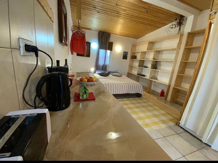 Garsoniera intrare separata la casa - 6