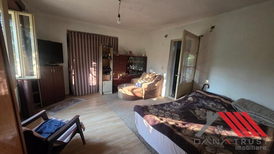 Topolovățu Mare – Casa si Teren 1683 mp - 48.500 euro - 16