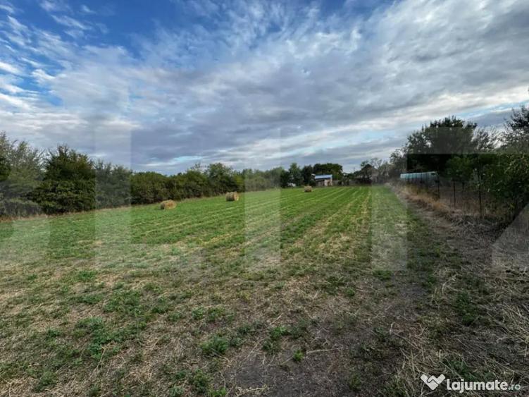 Casa 4 camere cu teren de 3892 mp - 12