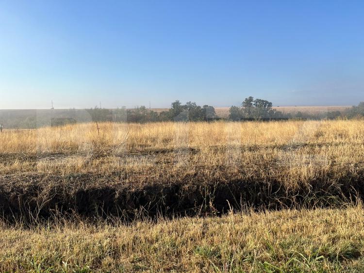 Teren extravilan, 2.500 mp, sat Sarbatoarea - 2