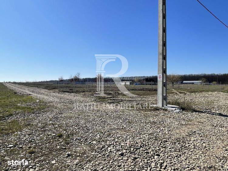 Parcele teren intravilan | 543 mp | Pausa | Nojorid | Bihor - 3