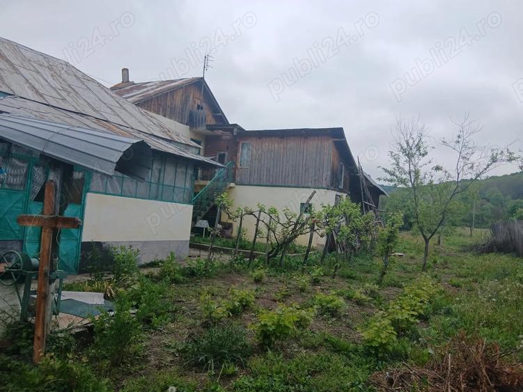 Casa cu doua terenuri de vanzare - 5