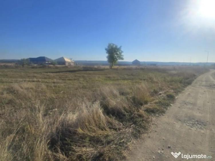 Teren 1000mp ,la intrarea in Filiasi - 5