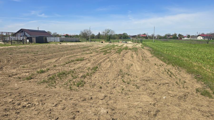 Teren 500 mp Dărăști Ilfov | Lângă pădure și râul Argeș | Deschidere 27 ml - 3