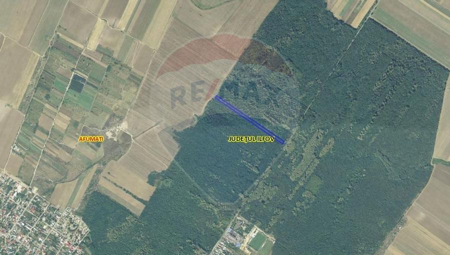 Teren 10,000mp Afumati | Padure | Soseaua Petrachioaia - 1