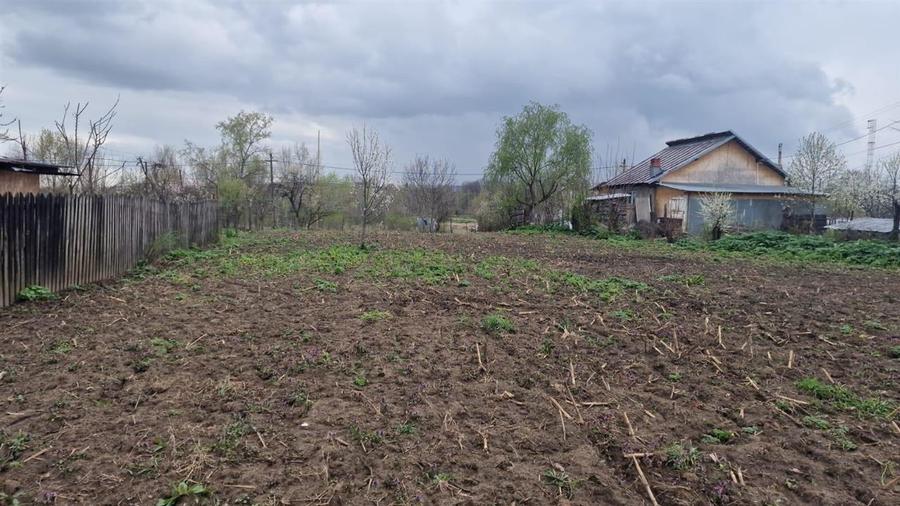 TEREN GURA VITIOAREI - 2