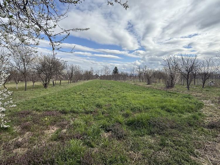 Ofer spre vanzare Casa 3 camere + Teren 47 Arii in comuna Lipau - 6