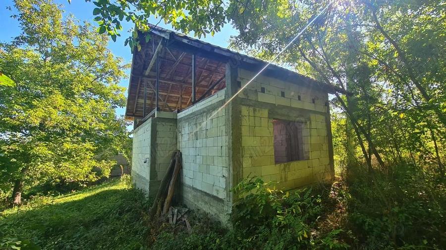 Casa la ro?u + 4391 mp teren de vanzare in comuna Valea Danului, sat Borobane?ti, jude? Arge?. - 1