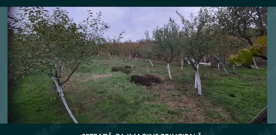 Casa de vanzare- - 3