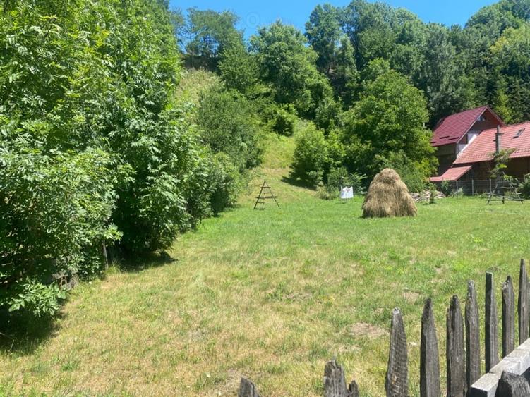 Valea Doftanei sat Traisteni Calea Brasovului - 1