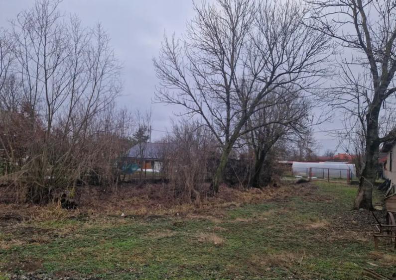 Casa veche cu teren generos sat Mogo?e?ti, com. Satu - 4
