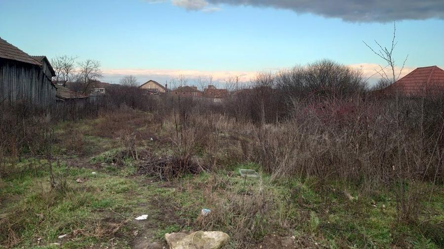 Teren intravilan in Gepiu - 1