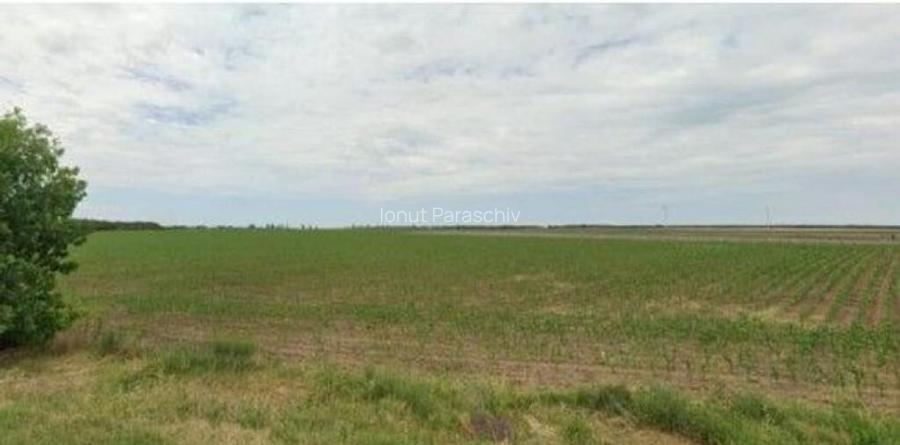 Teren extravilan Pogoanele, ID: R2586845