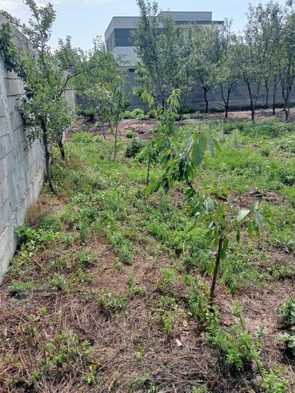 Casa de vanzare str fizesului Nr 17 - 1