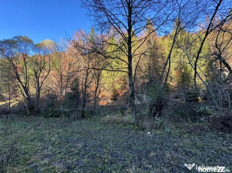 Teren 2.882 mp oportunitate investitie - Cheile Dambovi - 2