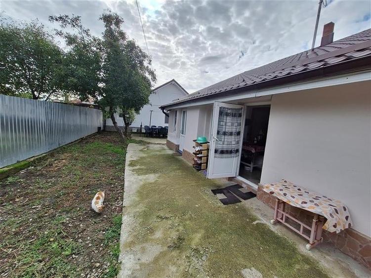 Proprietate ideala pentru familie extinsa sau investitie  Serbanesti, Bacau - 3