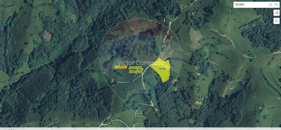 Teren de vanzare 8,441mp Holbav / Strada Dealul Ceta?elii