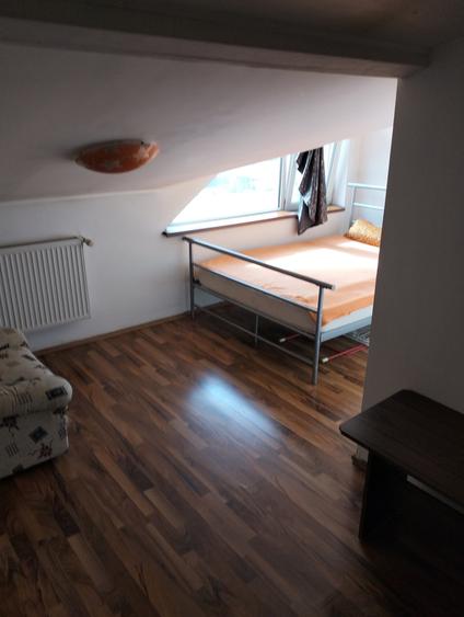 Titan, Nicolae Grigorescu - 5