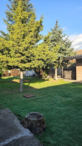 Propietate  km 4/5 .  1000 mp , din care 250 mp construcții - 6