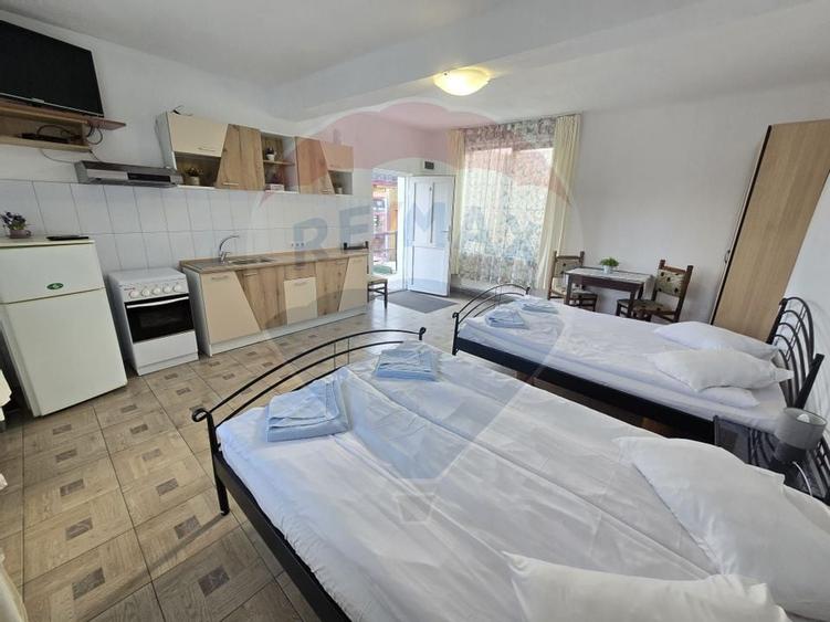 VILA ORHIDEEA  PENSIUNE  DE VANZARE IN STATIUNEA  PALTINIS JUD SIBIU - 23