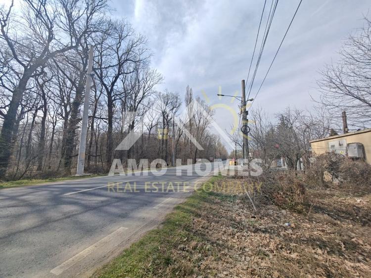 OPORTUNITATE -Teren de Vis la Marginea Pădurii – 5000 mp în Ciorogârla - 7