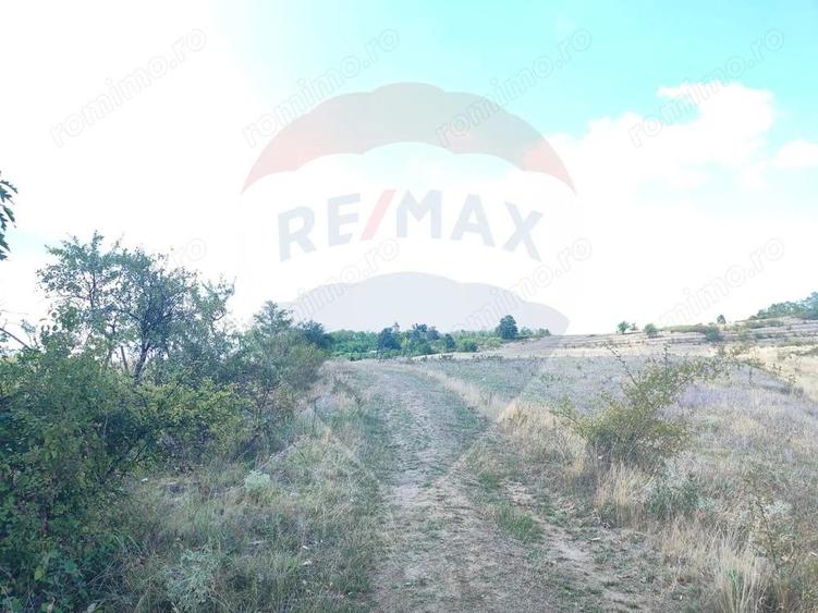 Teren intravilan - 3