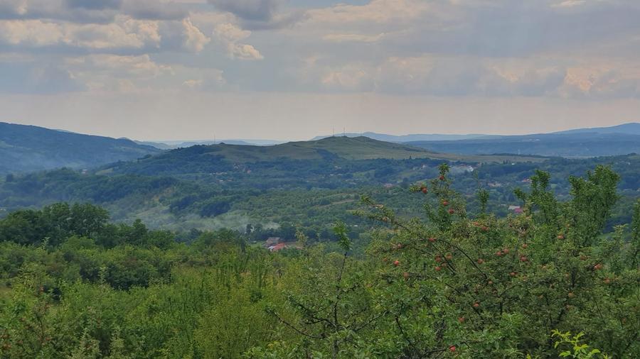 Teren intravilan – 9.000 mp, sat Ogretin, comuna Drajna, jud. Prahova - 1