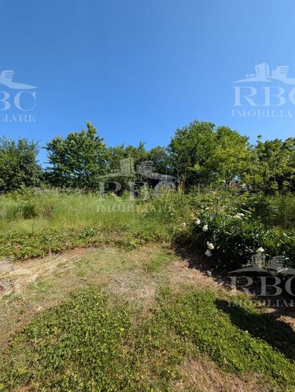 Teren pentru constructie casa in Faget - 11