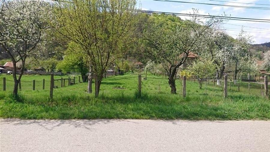 Casa si 3919 mp teren intravilan  in  Bucuresci, jud. Hunedoara - 5