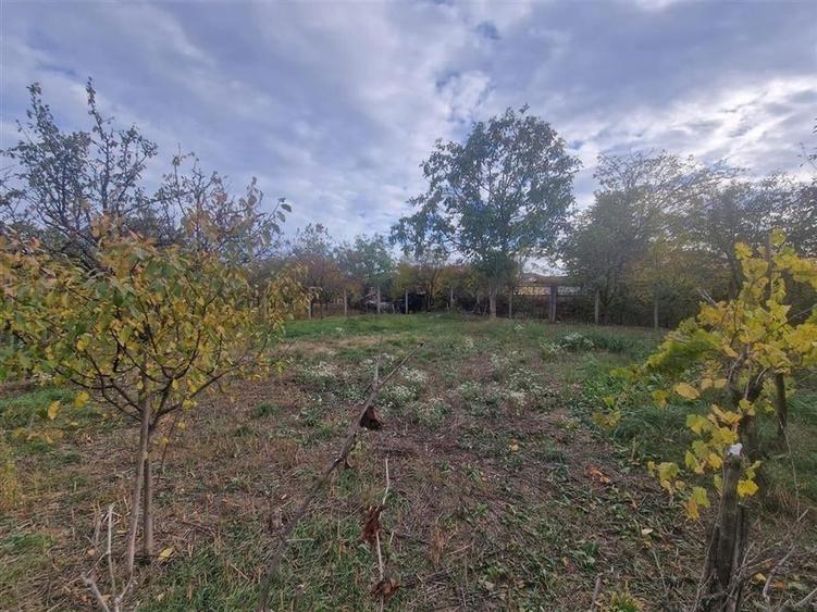 RECO Vila deosebita  in Santandrei cu teren generos - 49