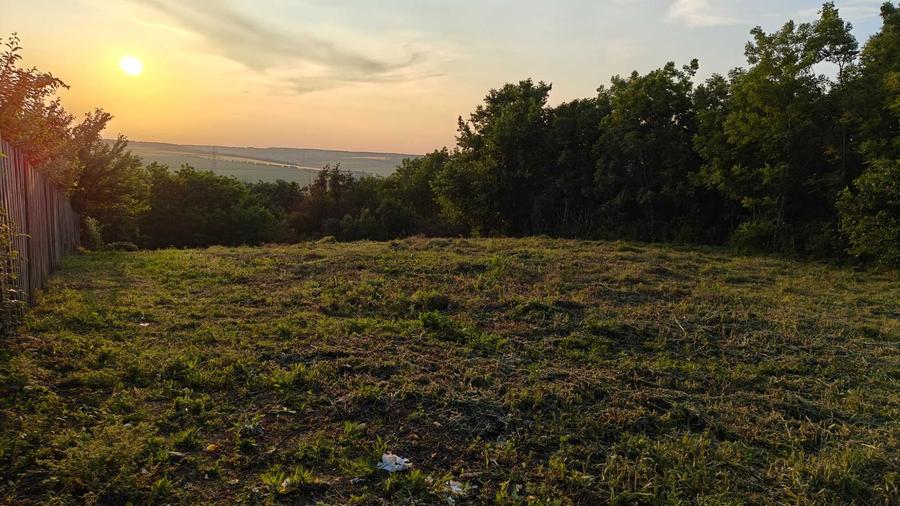 Teren de vanzare Horpaz - 7