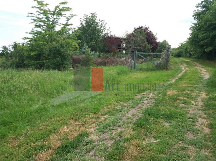 Teren Buftea cu iesire la lac - 10