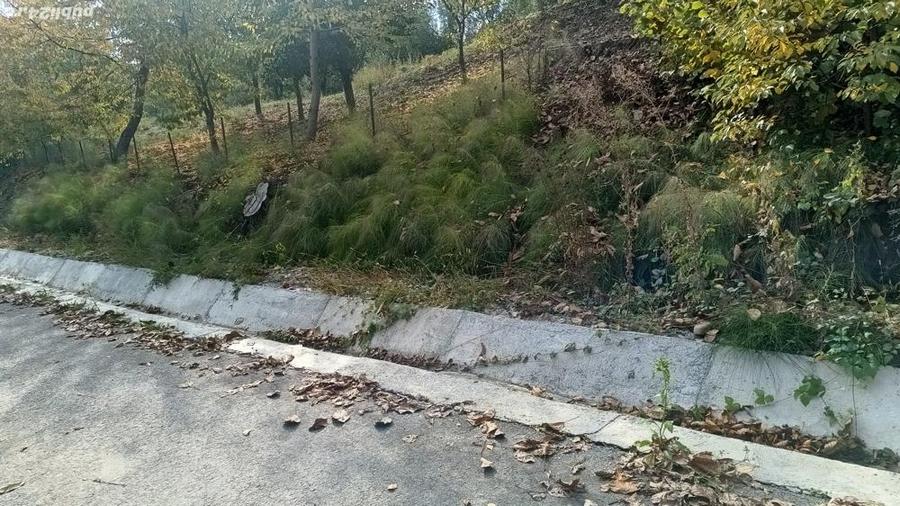 Vanzare teren intravilan - 2