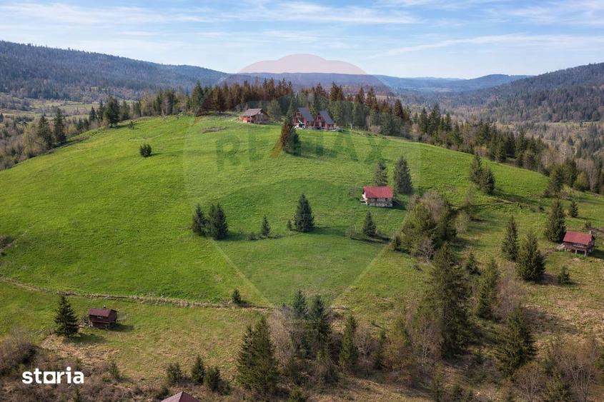 Teren de vanzare in inima Apusenilor 6.500 mp Arie?eni - 9