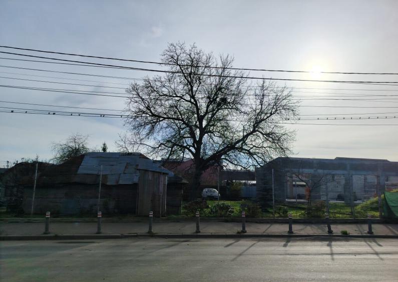 Teren de vanzare - 9