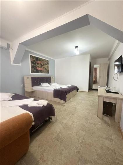 Pensiune Moderna si Profitabila in Vama Veche - Business la Cheie - 7