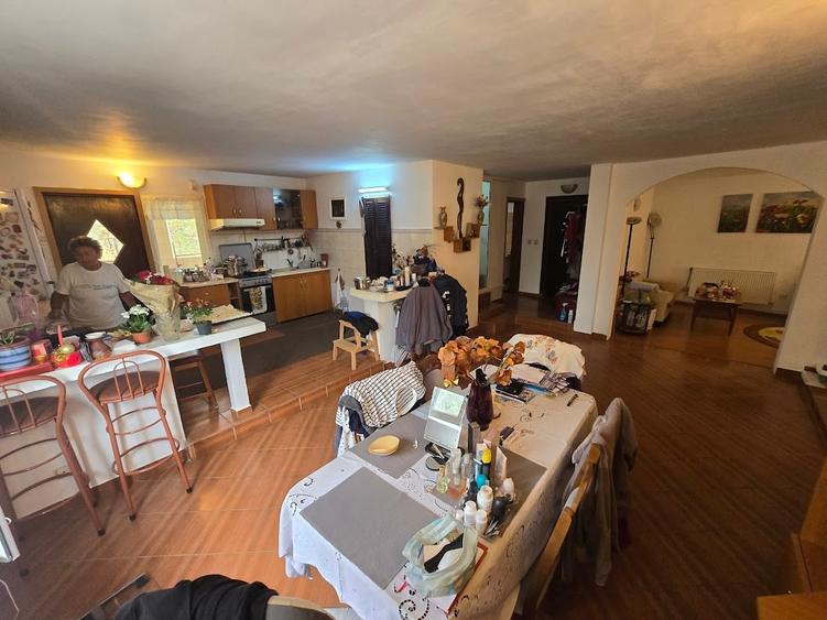 Magurele/Darasti-Ilfov/Vila individula cu crama,garaj,foisor,livada si solar - 10