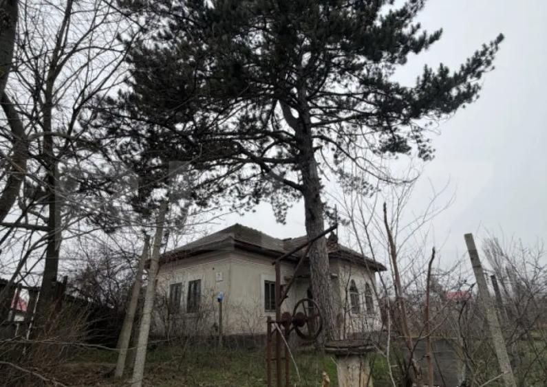 Casa parter 2714 mp teren, front 104 ml, strada principala C - 1