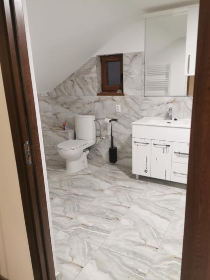 Casa P+M in Catamarasti mobilata si utilata - 8