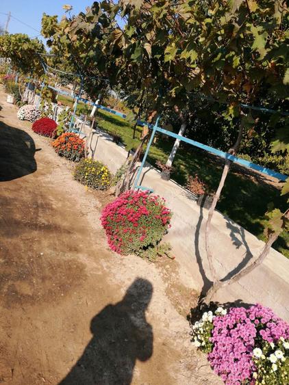 Casa la tara cu gradina - 5