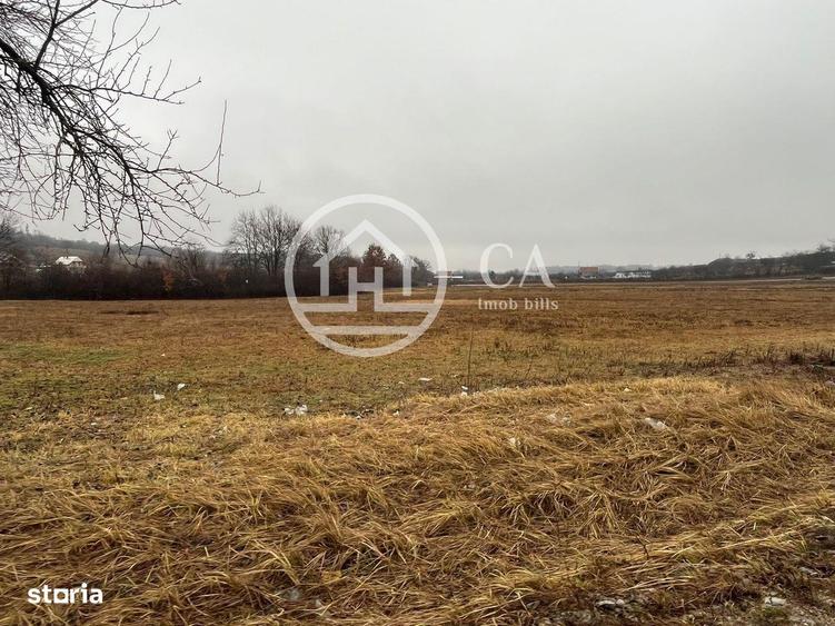 Teren intravilan de vanzare in Beius, Bihor - 4