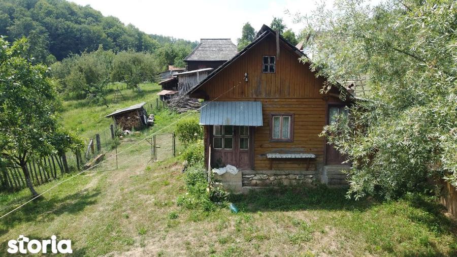 Teren de vanzare in comuna Cicane?ti, sat Bara?ti, Judet Arges. - 13